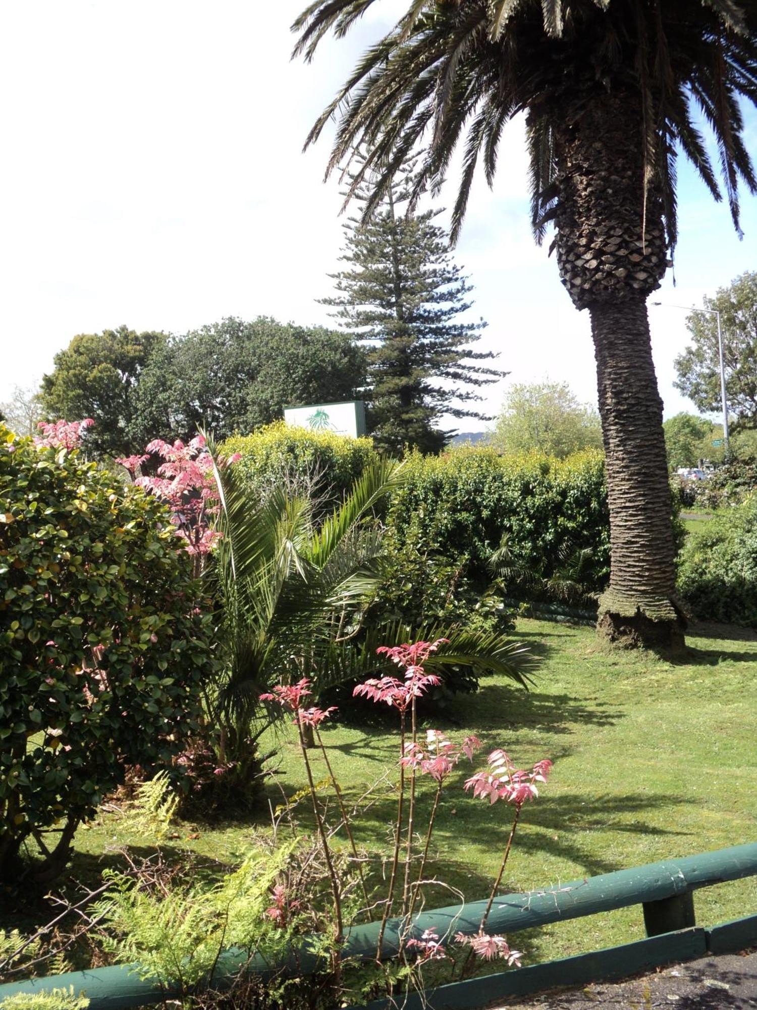 New Haven Motel Auckland Luaran gambar